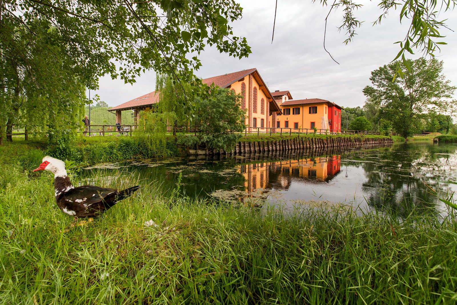 VSI.ASAI - GV Excursion 08.05.2015 | expo2015.org 