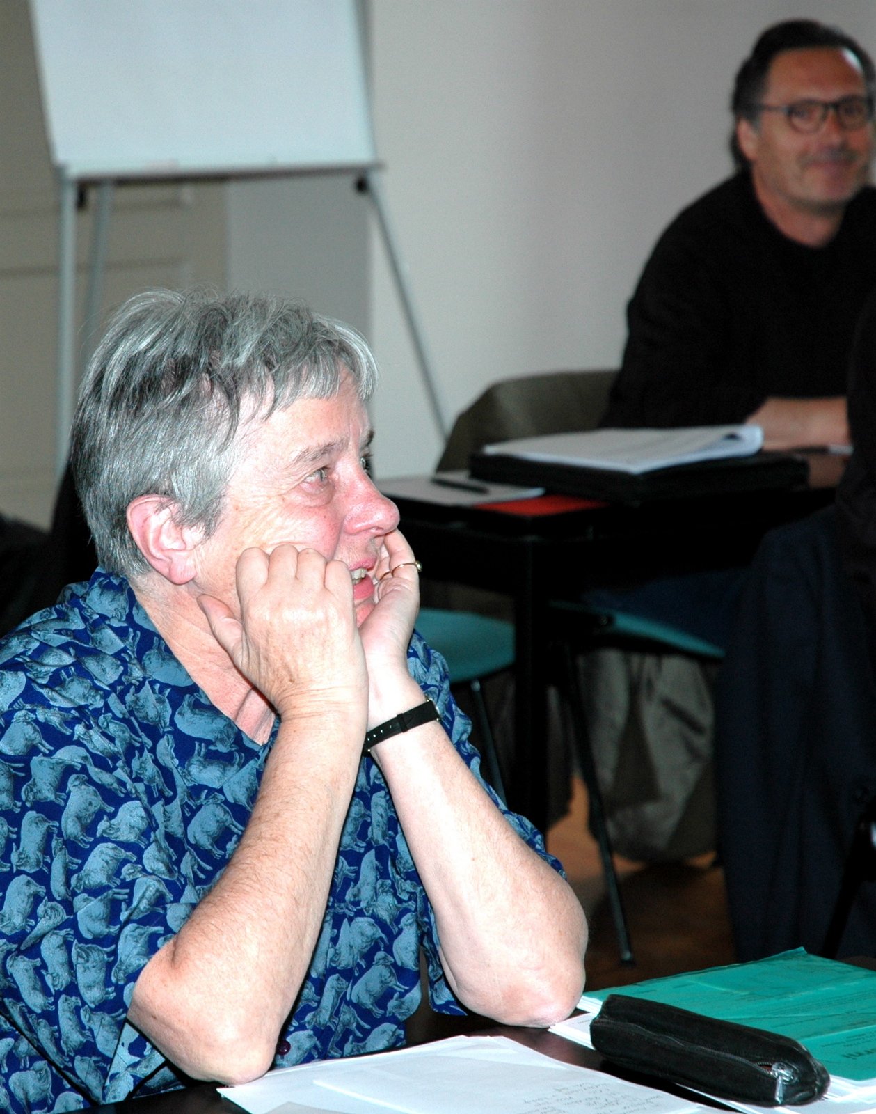 VSI.ASAI. - Generalversammlung in Milano 20./21. Mai 2005 