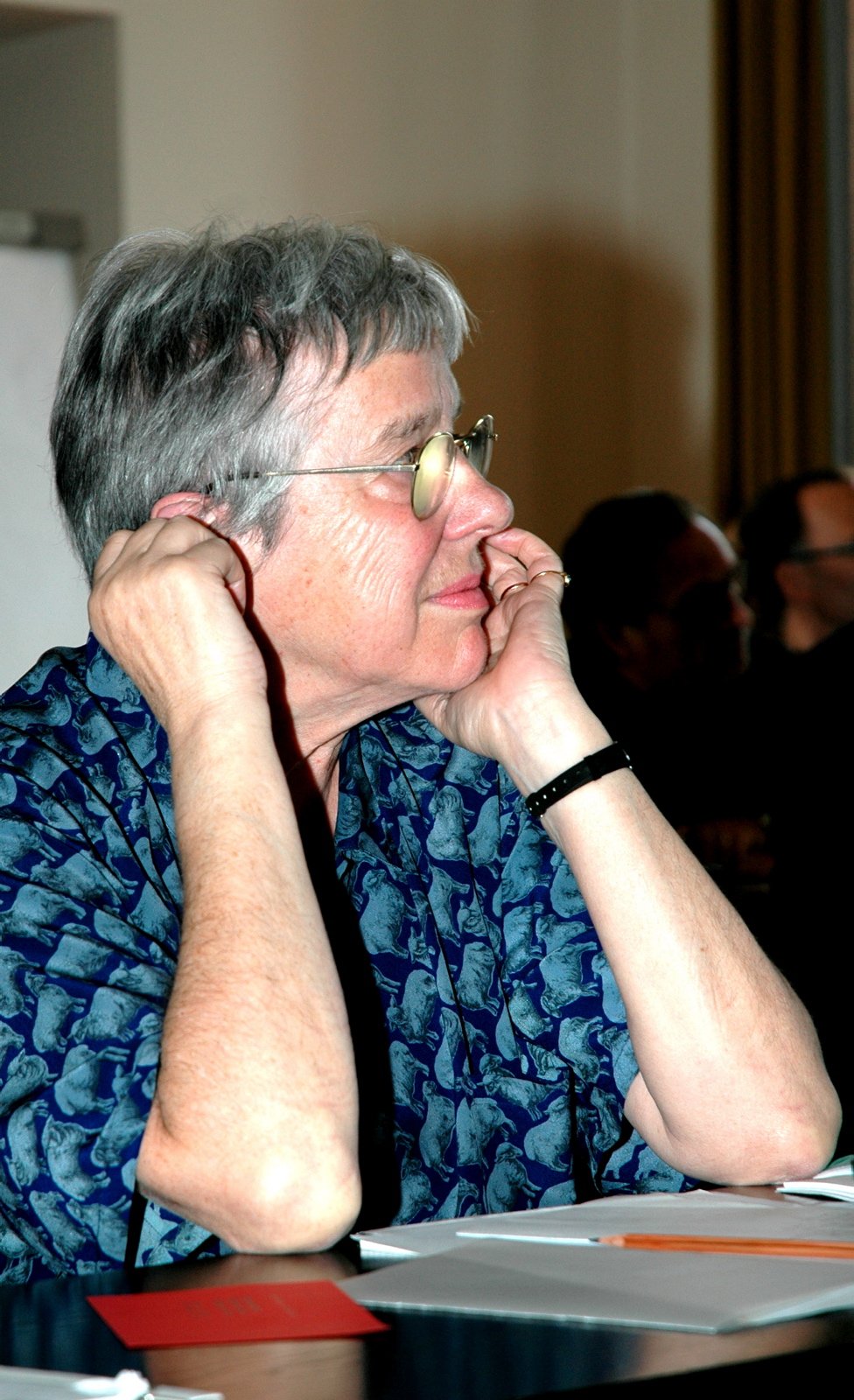 VSI.ASAI. - Generalversammlung in Milano 20./21. Mai 2005 