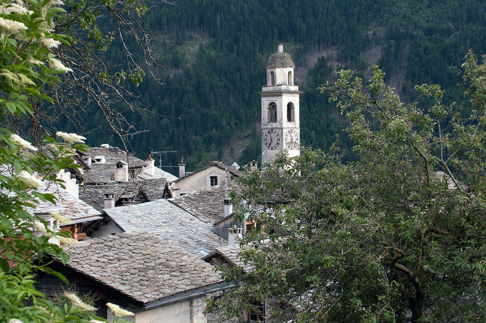 VSI.ASAI GV 28./29. Juni 2013 Besichtigung des Dorfes Soglio