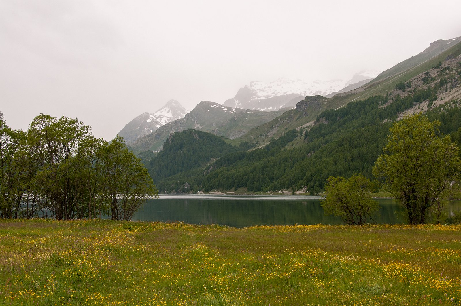 VSI.ASAI GV 28./29. Juni 2013 Sils Maria