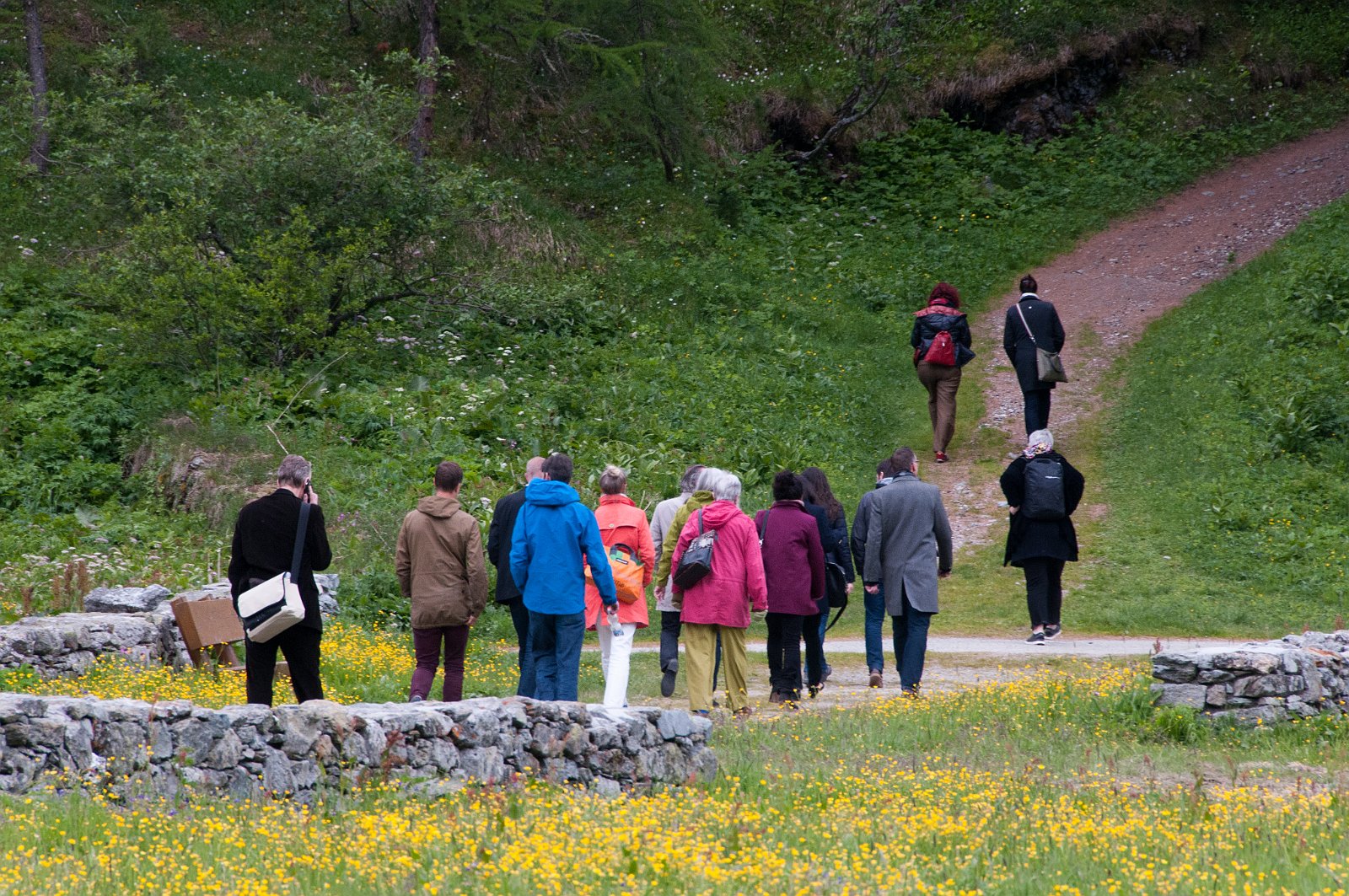 VSI.ASAI GV 28./29. Juni 2013 Sils Maria