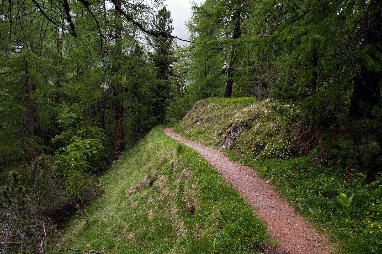 VSI.ASAI GV 28./29. Juni 2013 Sils Maria