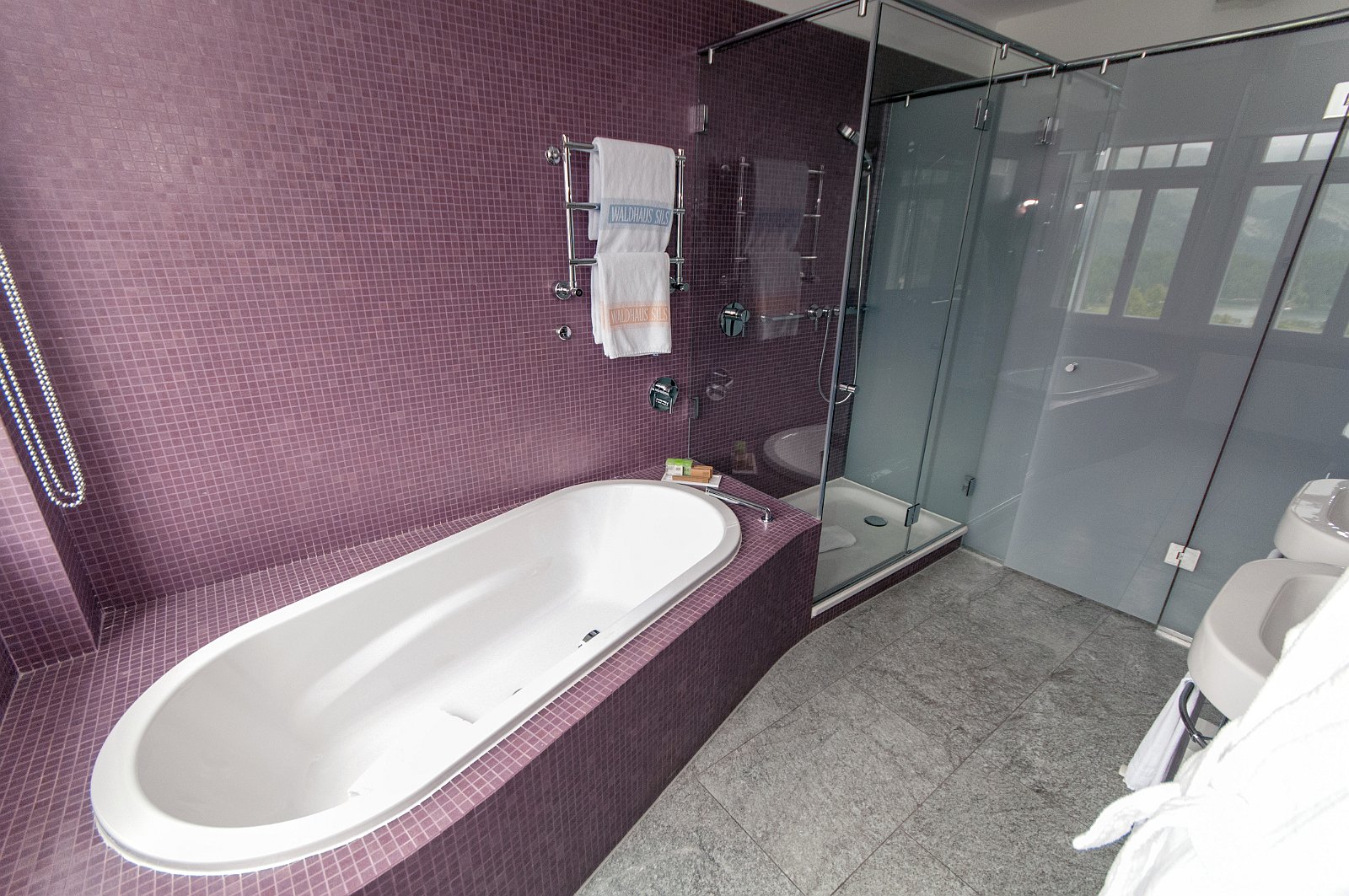 VSI.ASAI GV 28./29. Juni 2013 Hotel Waldhaus in Sils Maria | Gestaltungseingriffe von Miller + Maranta, Basel und vom heimischen Architekten Ruinelli aus Soglio