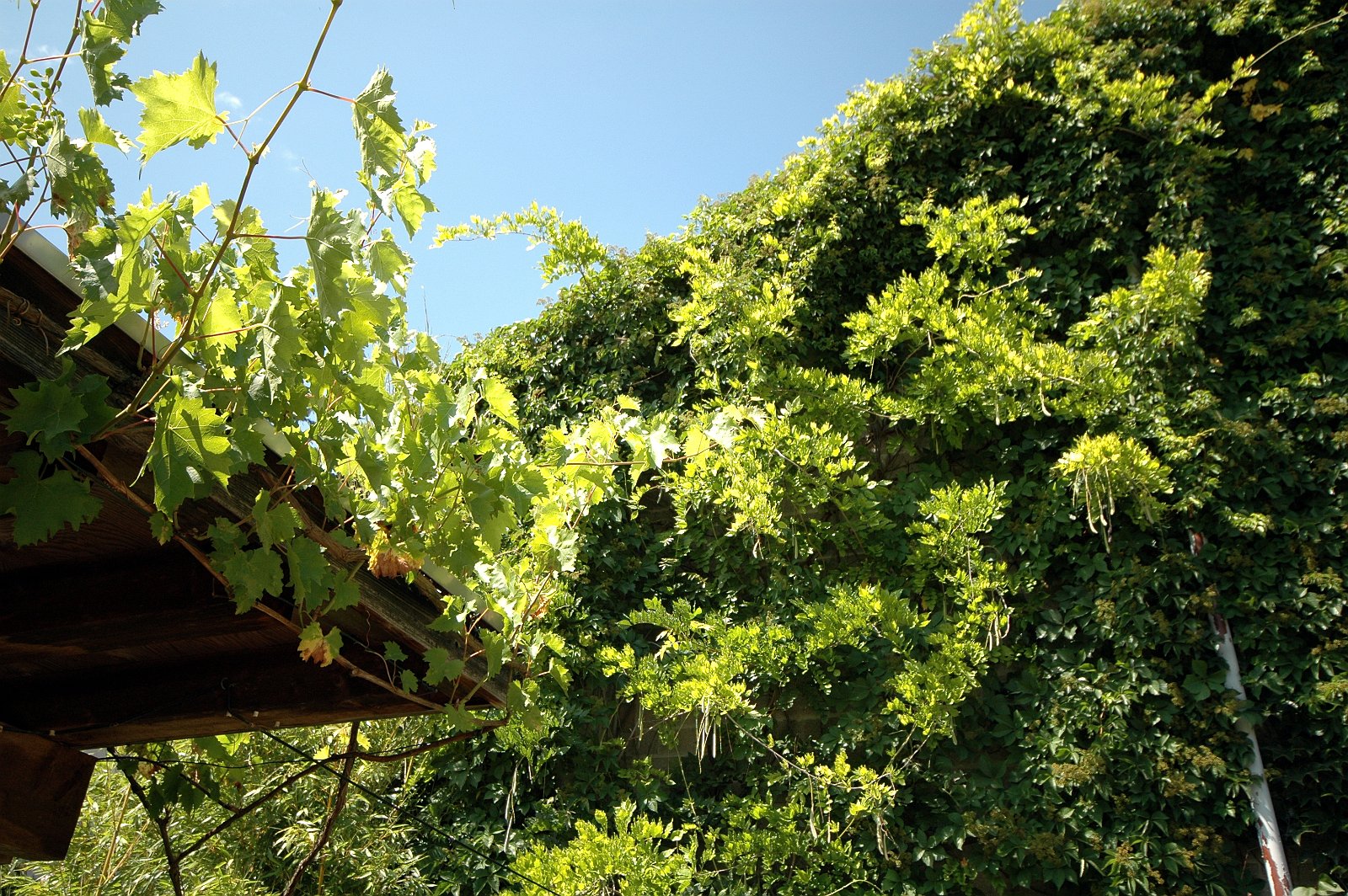 VSI.ASAI. - Generalversammlung in Solothurn 22..Juni 2007 | Türmlihausstr 20, Solothurn 