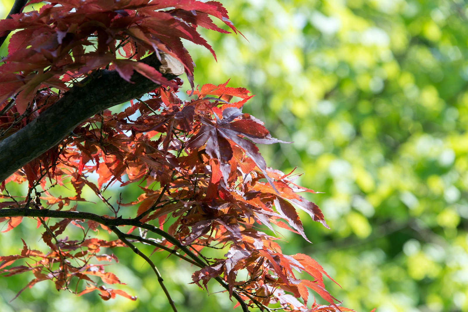 VSI.ASAI | Generalversammlung 20./21. Mai 2016 | St. Gallen 