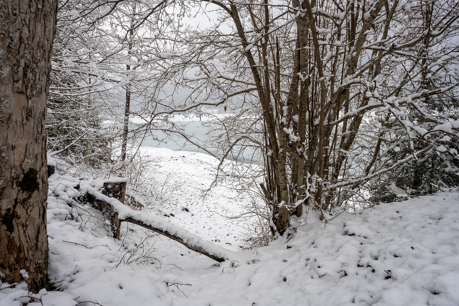 VSI.ASAI | Regionalversammlung 01.-02.04.2022 in Glarus Klöntalersee
