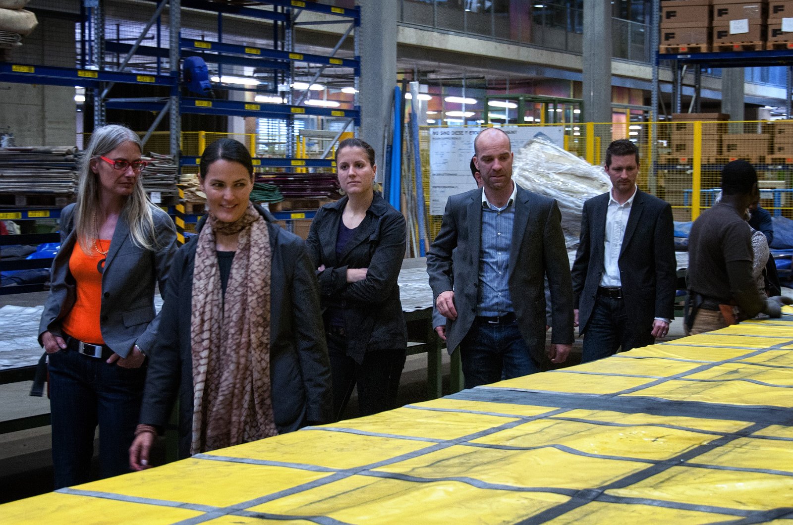 VSI.ASAI. Regionale Jahresversammlung 2013 