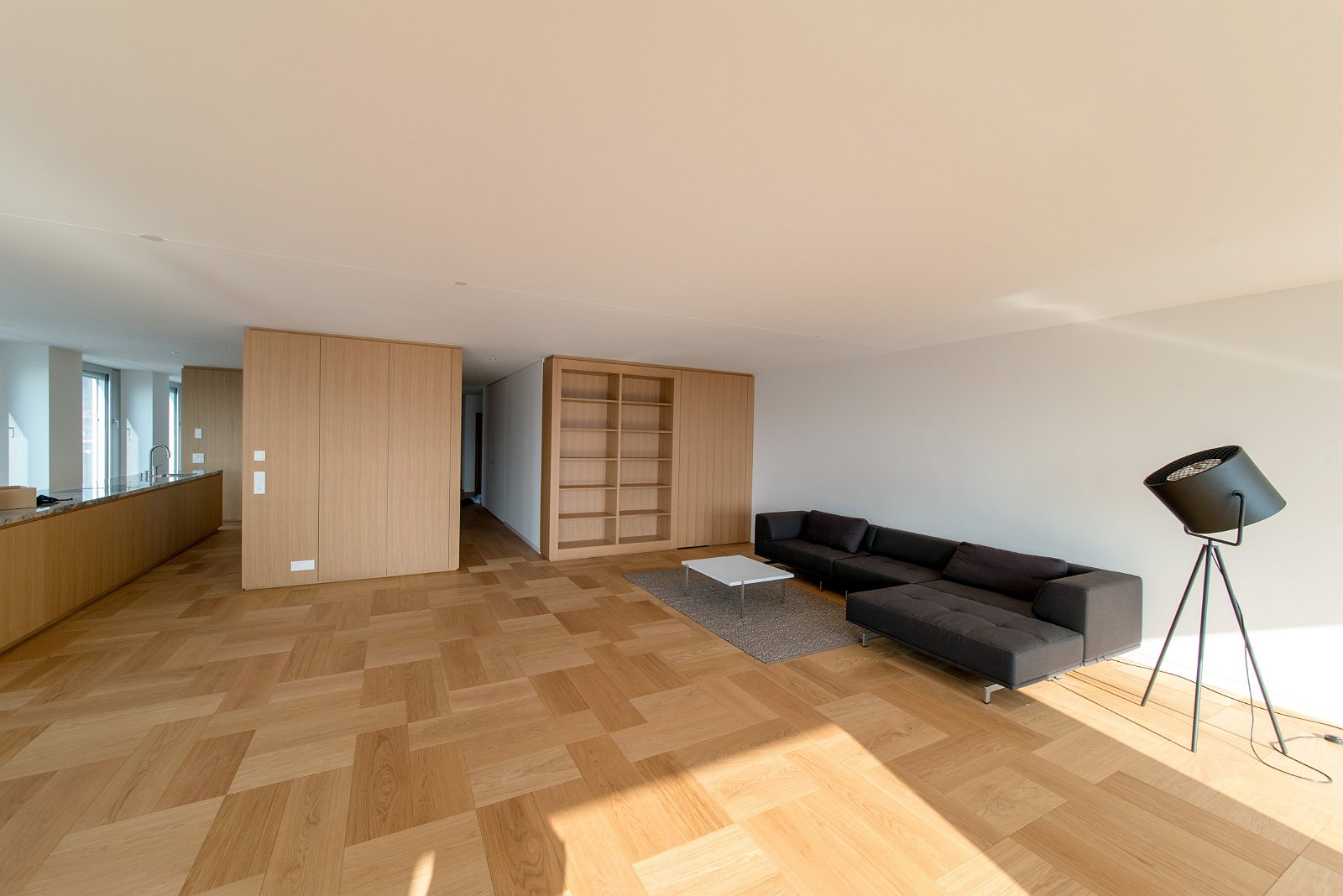 VSI.ASAI | Rundgang im Löwenbräu-Areal Zürich Rundgang und Führung im Löwenbräu-Areal Zürich. Führung durch Stephan Hürlemann, Partner Studio Hannes Wettstein AG und Volker Mencke, Projektleiter Gigon/Guyer Architekten.