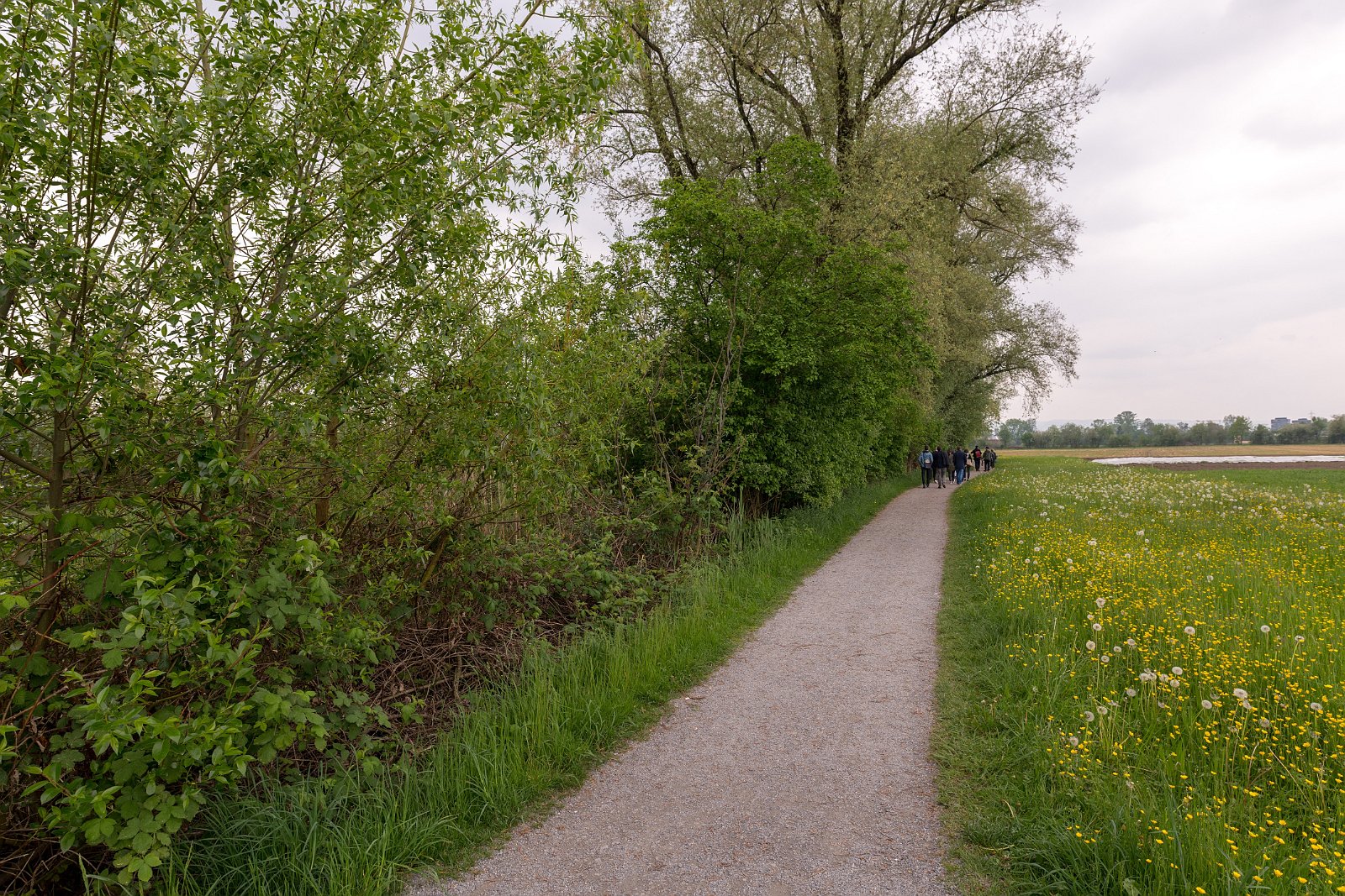 VSI.ASAI - Regionalversammlung Deutschweiz 2018 