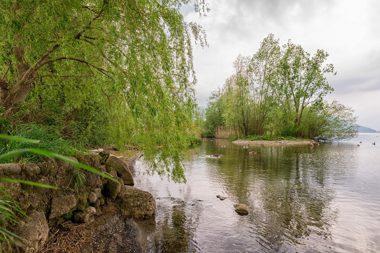 VSI.ASAI - Regionalversammlung Deutschweiz 2018 