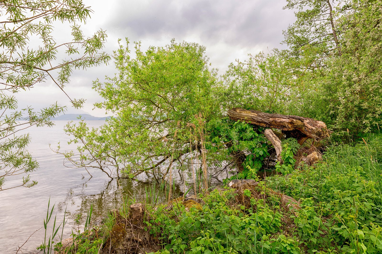 VSI.ASAI - Regionalversammlung Deutschweiz 2018 
