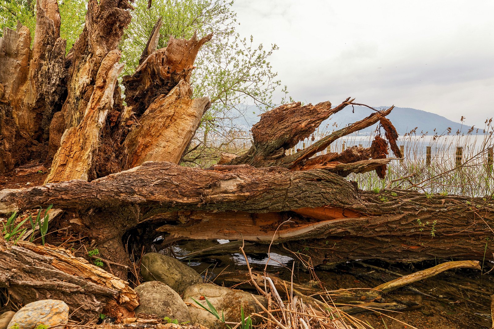 VSI.ASAI - Regionalversammlung Deutschweiz 2018 