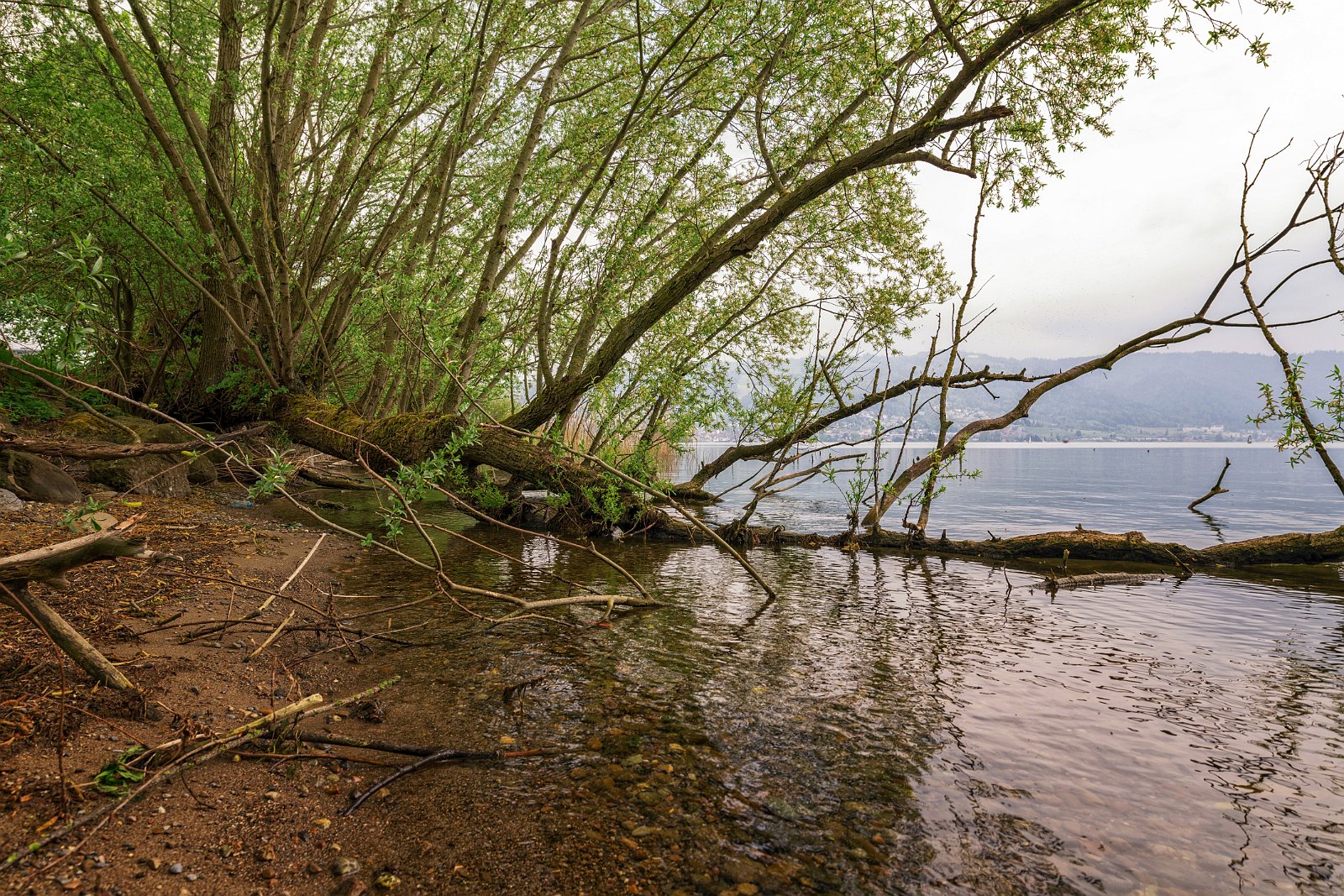VSI.ASAI - Regionalversammlung Deutschweiz 2018 