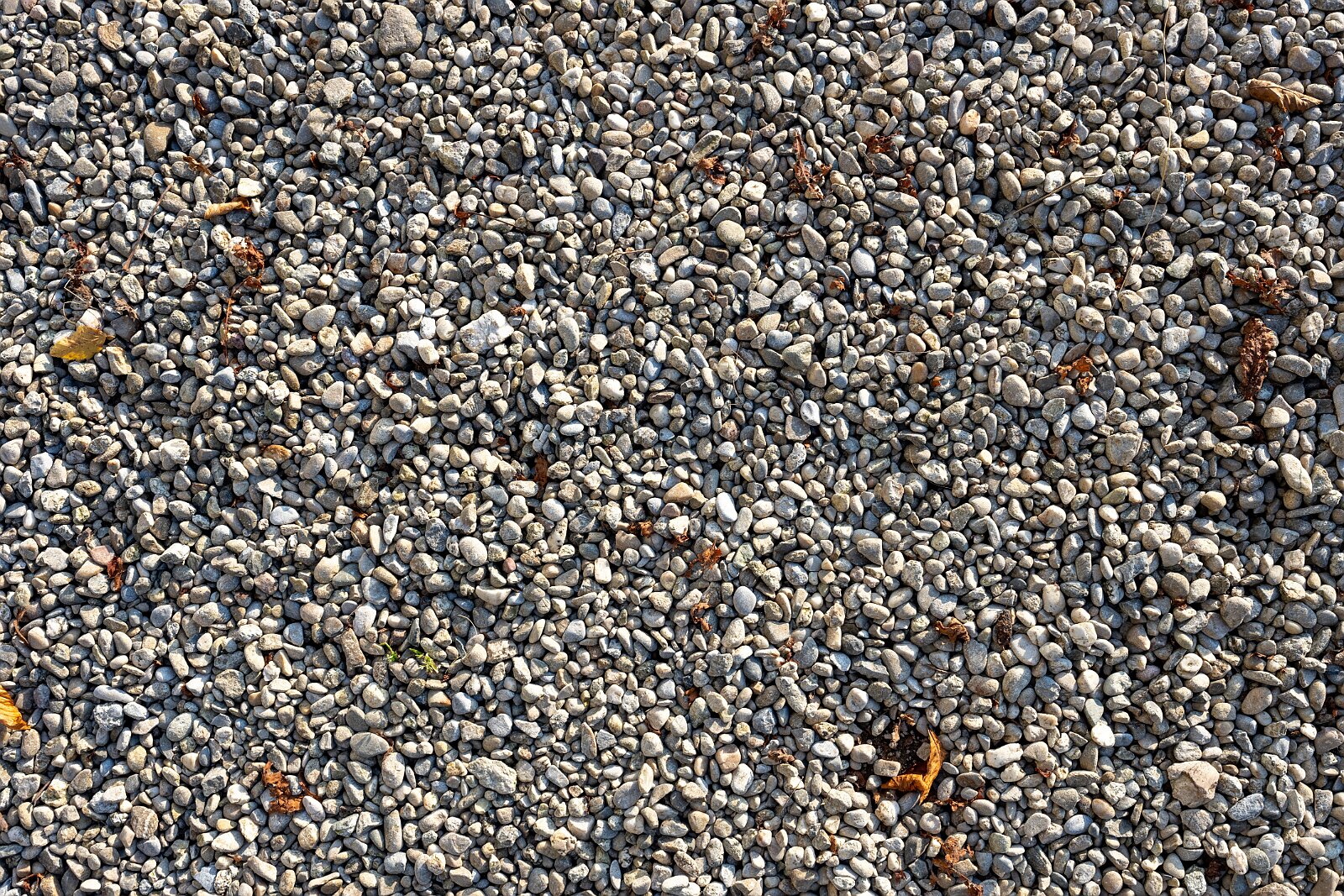 VSI Regionalgruppe auf dem Erlebnishof Burgrain 