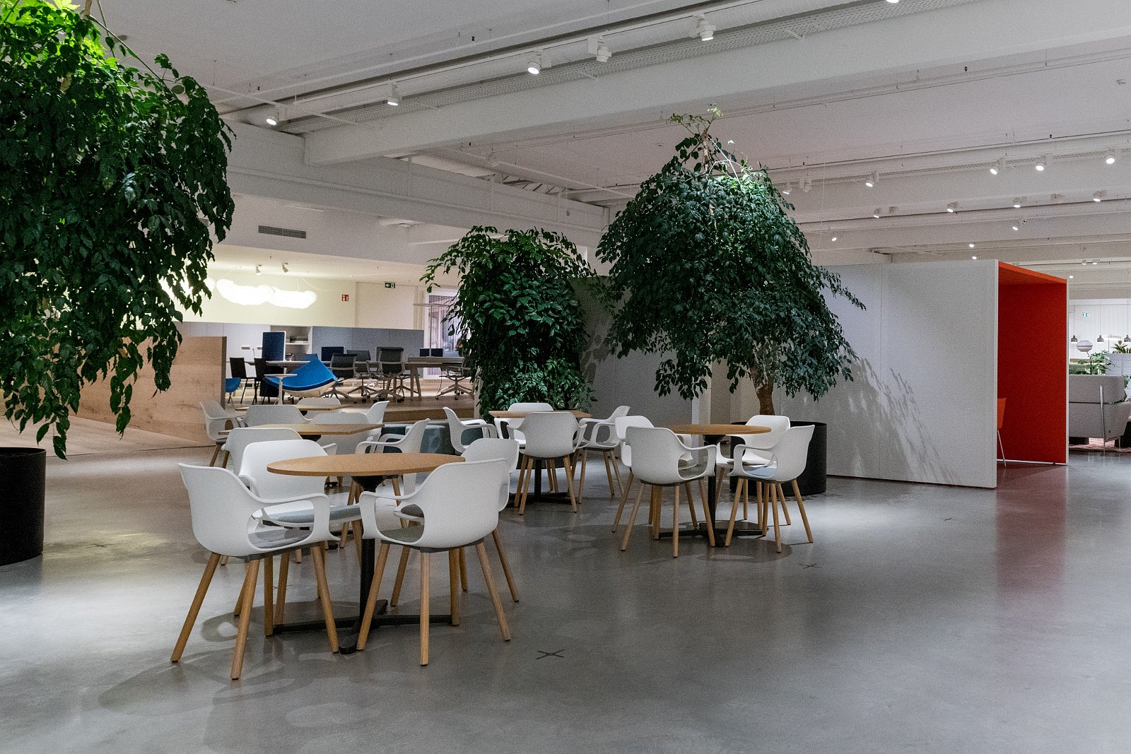 VSI.ASAI - Besuch der Vitra in Weil am Rhein 