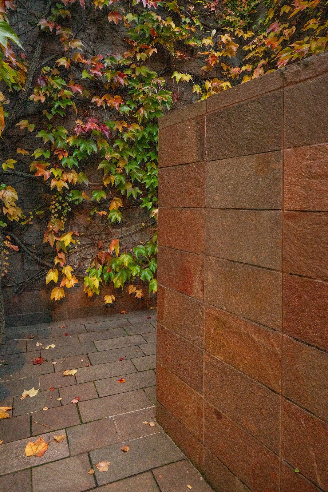 VSI.ASAI. - World Interiors Day 2025 Beyeler Museum Riehen