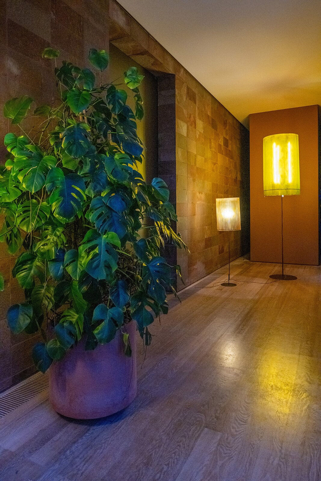 VSI.ASAI. - World Interiors Day 2025 Beyeler Museum Riehen