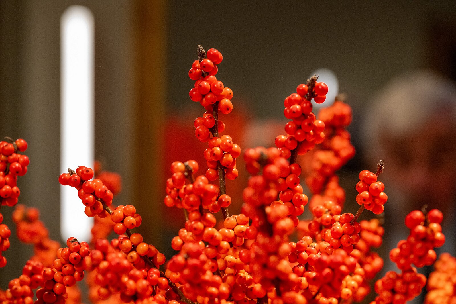 VSI.ASAI. - World Interiors Day 2025 VSI.ASAI. - World Interiors Day 2024