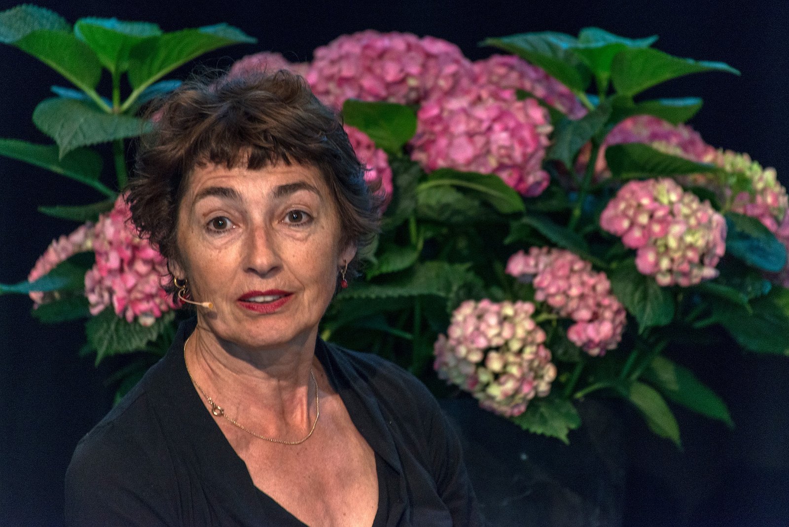 VSI.ASAI | World Interior Day 2016 