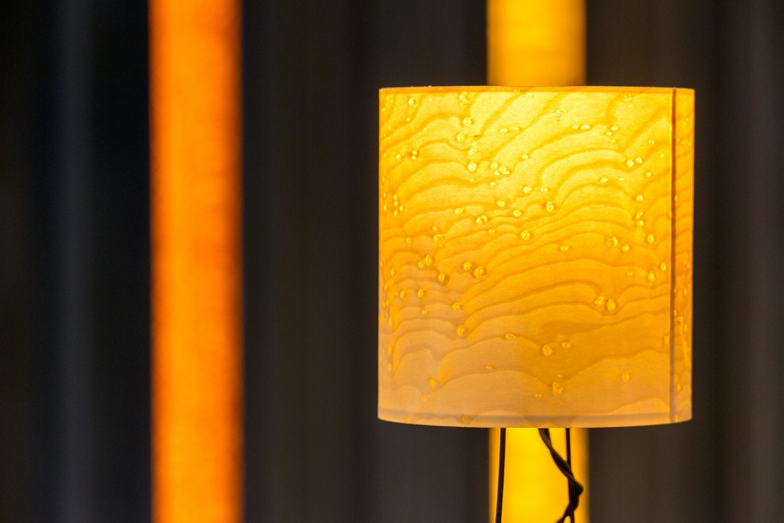 VSI.ASAI | World Interior Day 2016 