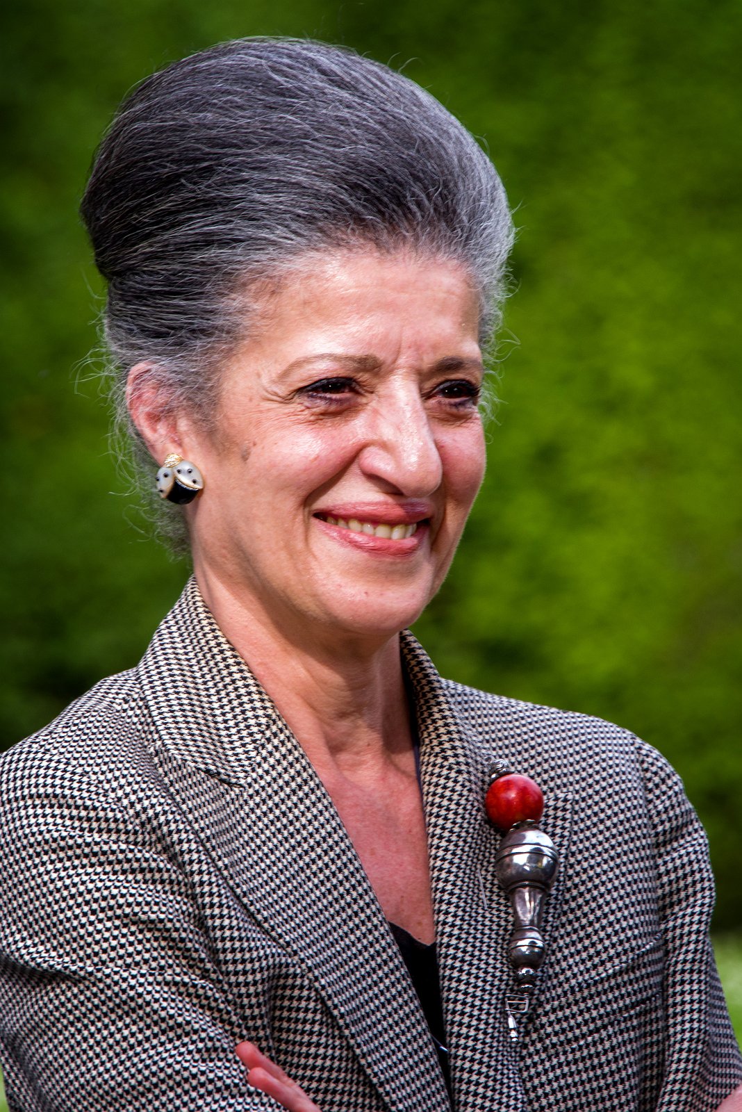 VSI.ASAI. | Ehrung von Heidi Weber für Ihr Lebenswerk | 30. Mai 2015 